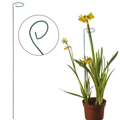 augalų atrama su kilpele, 110 cm