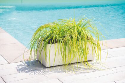 Vazonas “Blanka” su vandens rezervuaru ir ratukais, 99 cm - Image 2