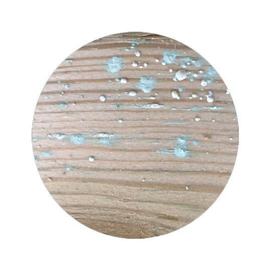 Daugiausiai užduodami klausimai (D.U.K.)