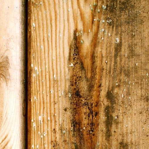 Daugiausiai užduodami klausimai (D.U.K.)