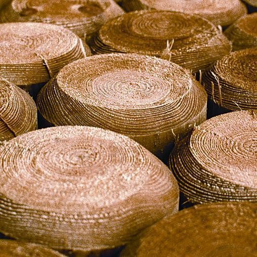 Daugiausiai užduodami klausimai (D.U.K.)