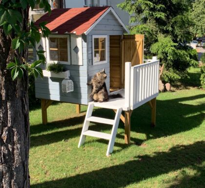 Dažai medienai, pilkos spalvos, 0,9 l