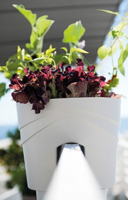 Balkono vazonas "Antracitas", 30 cm