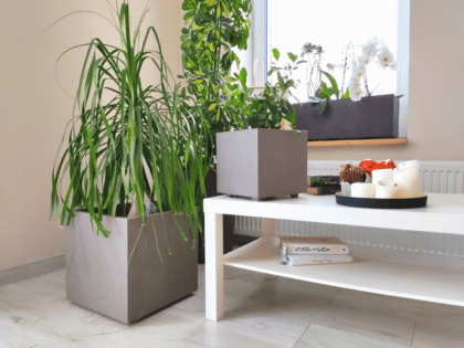 Vazonas "Kvarcas" su vandens rezervuaru, 25 cm