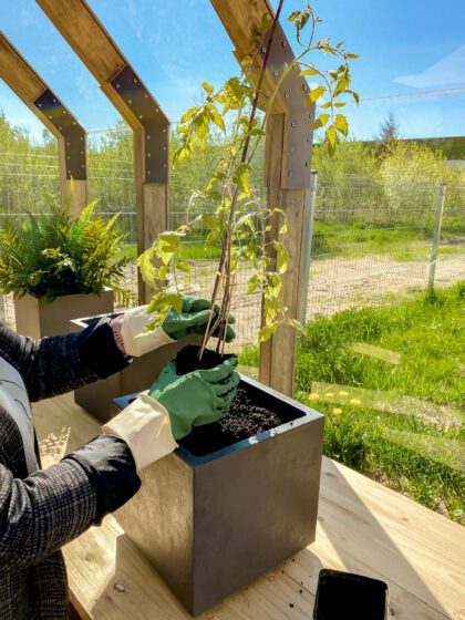 Vazonas "Antracitas" su vandens rezervuaru, 25 cm