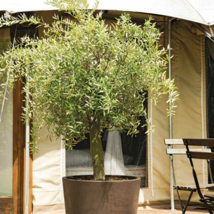 Vazonas "Granitas" su vandens rezervuaru, 59 cm