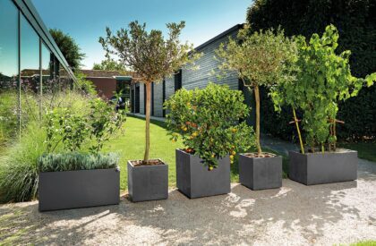 Vazonas "Antracitas" su vandens rezervuaru ir ratukais, 49 cm