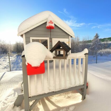 Paukščių lesyklėlė "Cypliukas", pilka