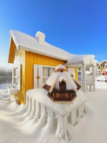 Paukščių lesyklėlė "Margasnapis"