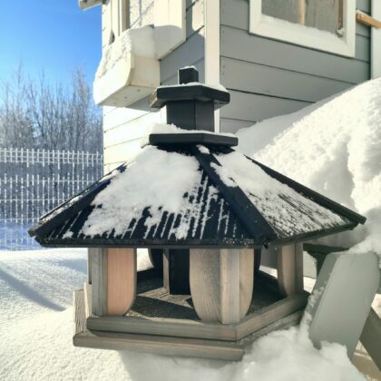 Paukščių lesyklėlė "Žaliukė"