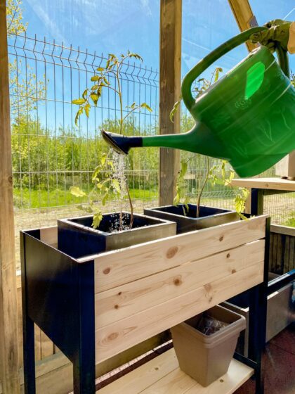 Medinė pakelta lysvė "Anturis" 78 x 36 x 72 cm