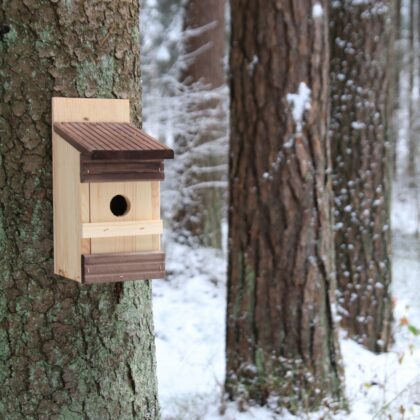 Medinis inkilas paukščiams "Jaukumas”