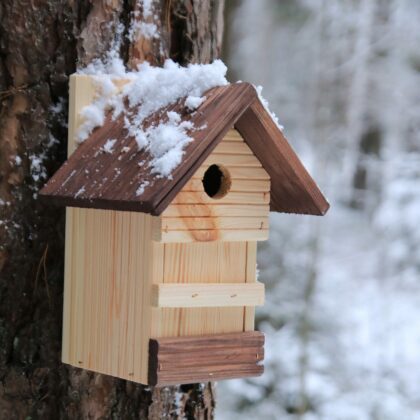 Medinis inkilas paukščiams "Patogumas"