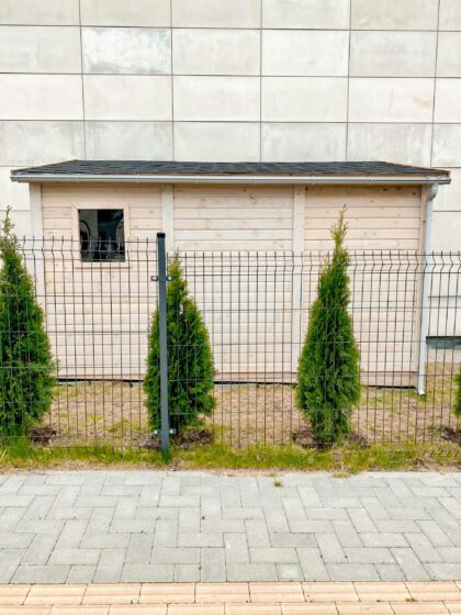 Medinis sandėliukas „Šermuonėlis“ 5,4 m2