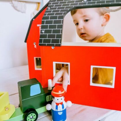 Medinis žaislas “Ferma"