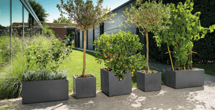 Vazonas "Antracitas" su vandens rezervuaru, 25 cm