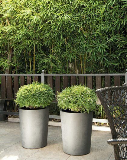 Vazonas "Antracitas" su vandens rezervuaru, 53 cm