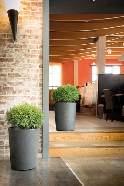 Vazonas "Antracitas" su vandens rezervuaru, 53 cm