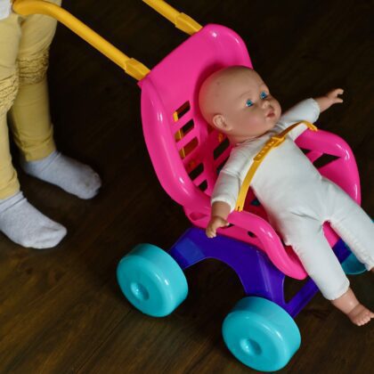 Plastikinis lėlių vežimėlis “Toma"