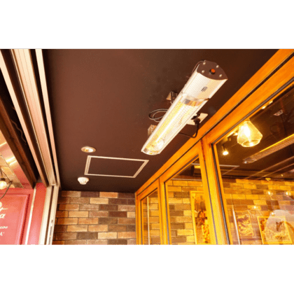 Infraraudonųjų spindulių šildytuvas PLUTONAS su valdymo pultu, pilkas, 2000W