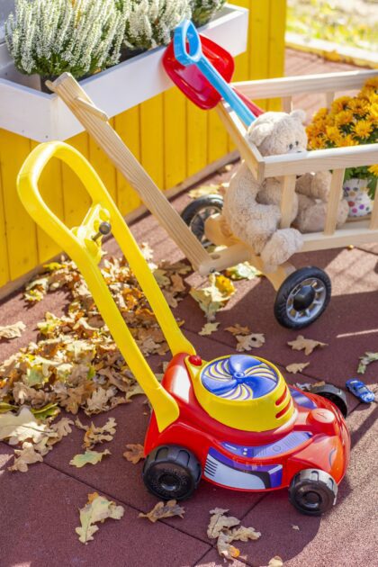 Vaikiška žoliapjovė “Rikis”