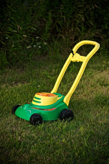 Vaikiška žoliapjovė “Rikis”