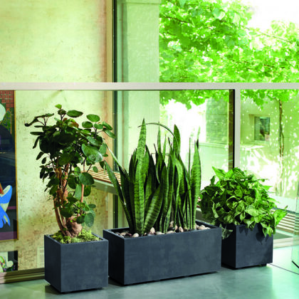 Vazonas "Antracitas" su vandens rezervuaru, 25 cm