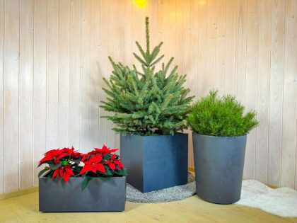 Vazonas "Antracitas" su vandens rezervuaru, 53 cm