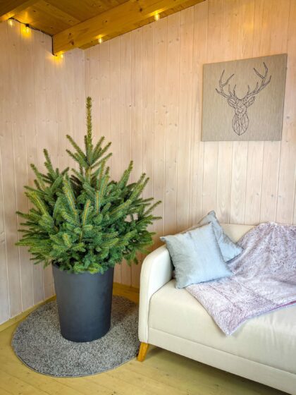 Vazonas "Antracitas" su vandens rezervuaru, 53 cm