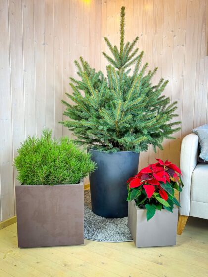 Vazonas "Antracitas" su vandens rezervuaru, 53 cm