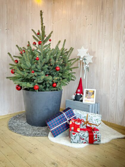 Vazonas "Antracitas" su vandens rezervuaru ir ratukais, 59 cm