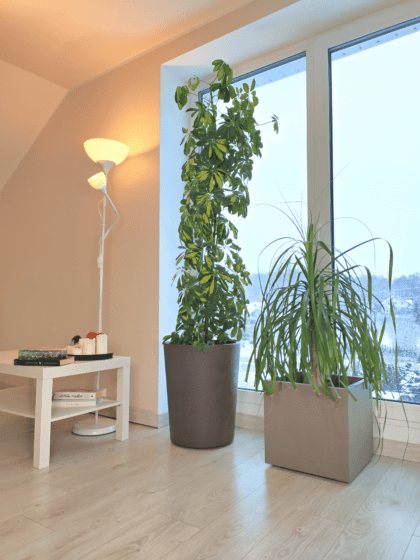 Vazonas "Kvarcas" su vandens rezervuaru, 25 cm