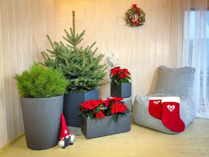 Vazonas "Antracitas" su vandens rezervuaru ir ratukais, 49 cm