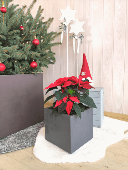 Vazonas "Antracitas" su vandens rezervuaru, 25 cm