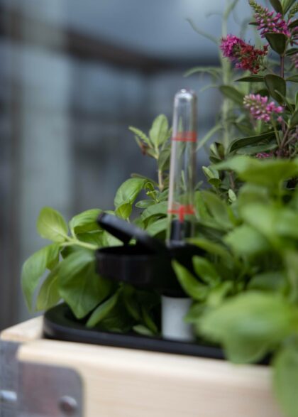 Vidinis vazonas su savaiminio drėkinimo sistema - daigykla, M dydis