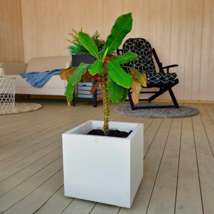 Vazonas "Blanka" su vandens rezervuaru, 79cm