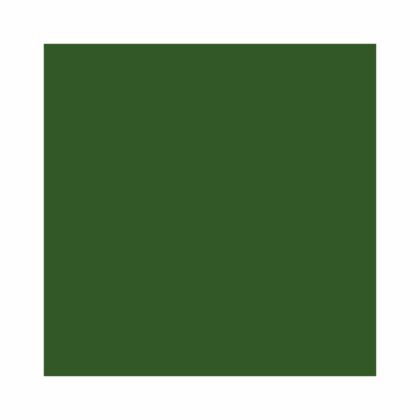 Dažai medienai, žalios spalvos, 0,9 l