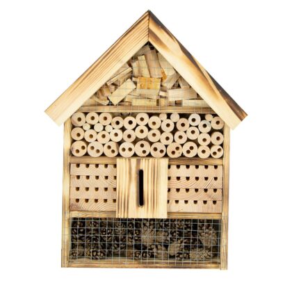 Vabzdžių viešbutis "Boružėlė"