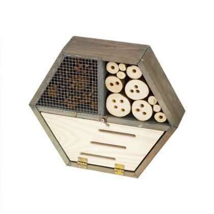 Vabzdžių viešbutis "Koriukas"