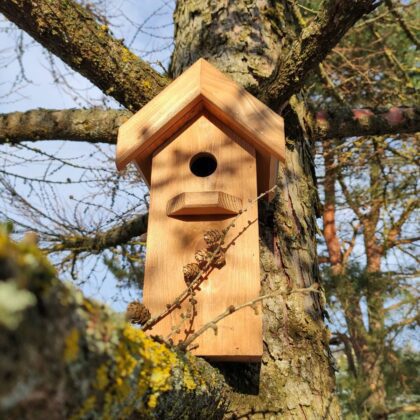 Medinis inkilas paukščiams "Ramuma"