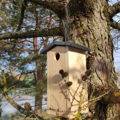 Medinis inkilas paukščiams "Užuovėja”