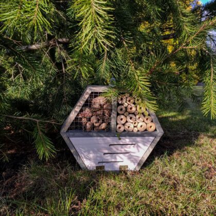 Vabzdžių viešbutis "Koriukas"