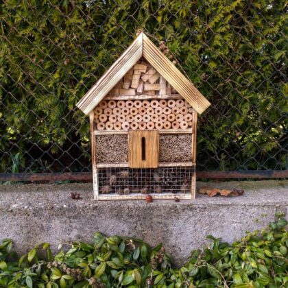 Vabzdžių viešbutis "Boružėlė"