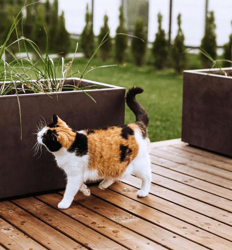 Jolita Blaževičiūtė (jolli_art), vazonai „Granitas“