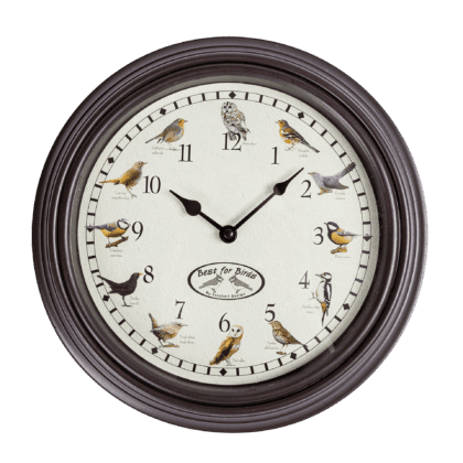 Laikrodis "Paukščių garsai"