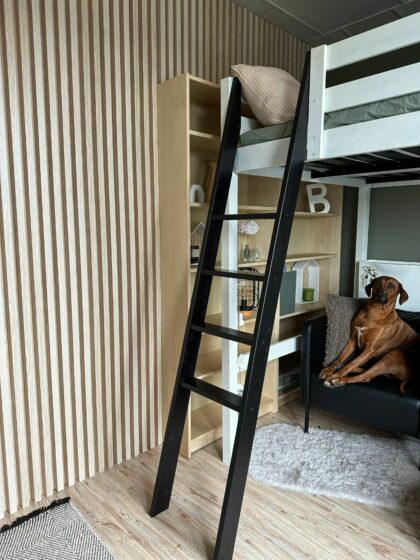 Lamelių sienelė, 275x17,2cm, ash