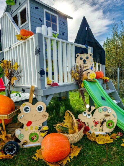 Lavinamoji lenta „Išmintingoji varlė“