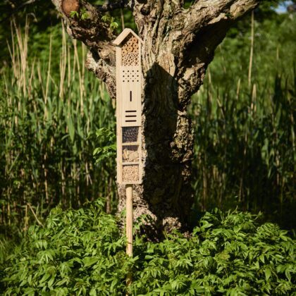 Vabzdžių viešbutis "Šimtakojis"