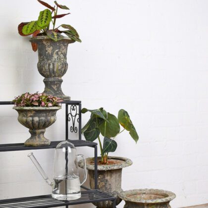 Skaidraus stiklo laistytuvas, 1,4 l