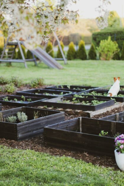 Medinė lysvė Bonus Orbis, 80 x 80 x 18 cm